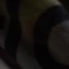 cocobrown66